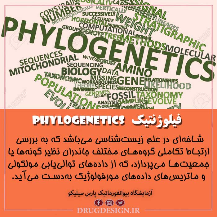 phyloge1